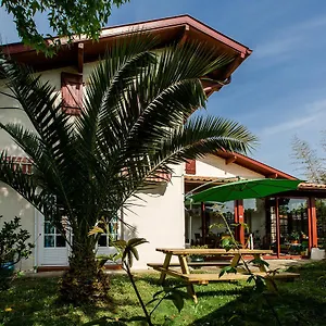 https://nami-house.biarritzhotels.info